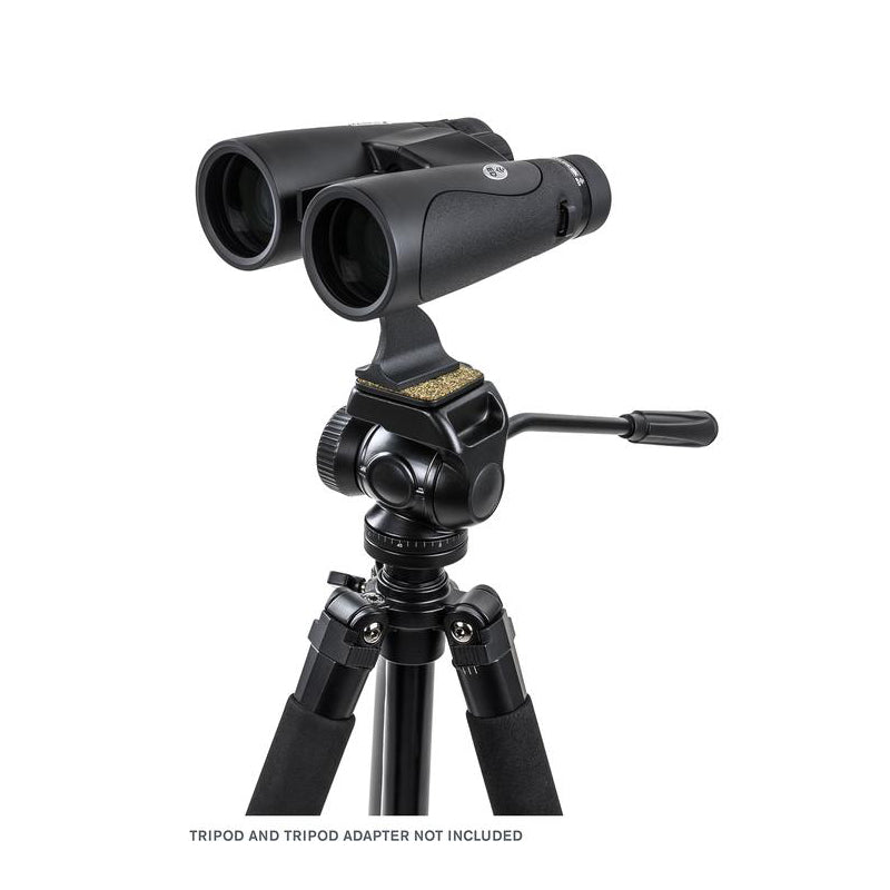 Celestron 12x50 Nature DX ED Binoculars - Waterproof & Fogproof - High Quality Optics for Bird Watching, Hiking, and Outdoor Adventures