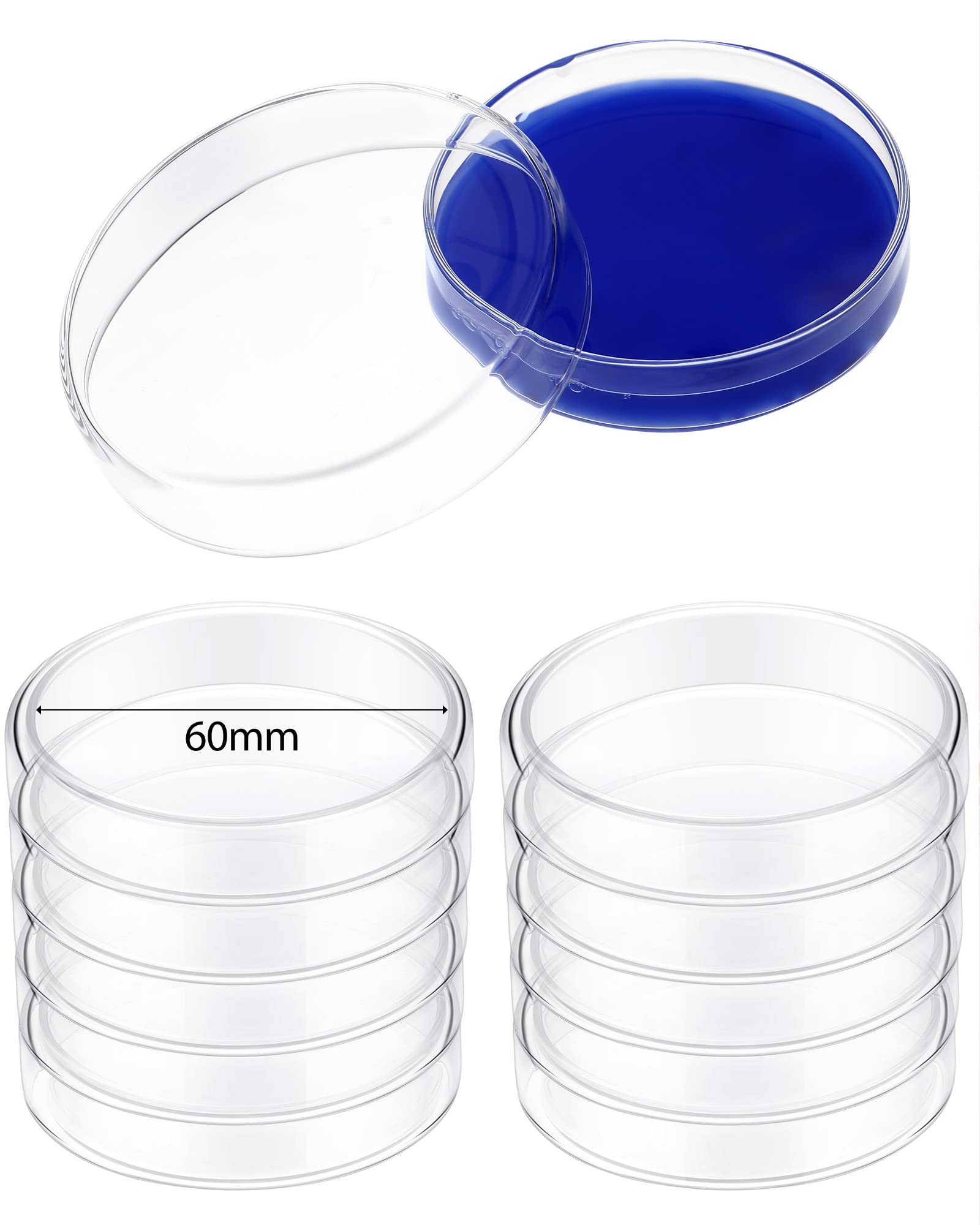Weewooday 10-Piece Autoclavable High Borosilicate Glass Petri Dishes with Lids - 60x20mm Lab Equipment for Science, Biology Projects & Microbiology Experiments - Perfect for Cell Culture, Bacteria Testing & Classroom Labs