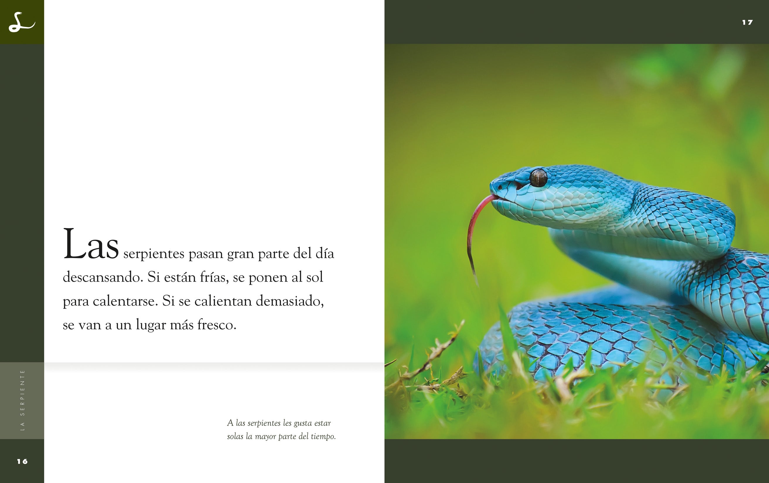 La Serpiente 9781640262676 - Snake Book for Kids in Spanish, Educational Wildlife Reading for Children - Perfect for Classroom Learning & Homeschooling