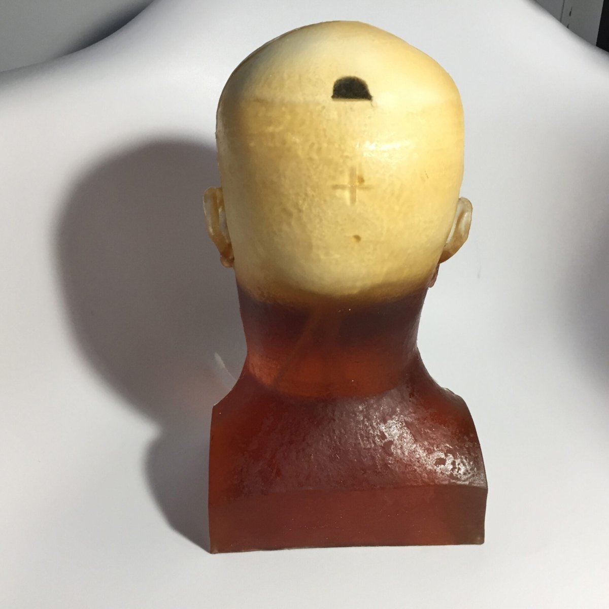 High-Quality Dynamic Adult Head Phantom for Ultrasound, MRI & CT Scans - Perfect for Medical Training & Diagnostic Equipment Testing