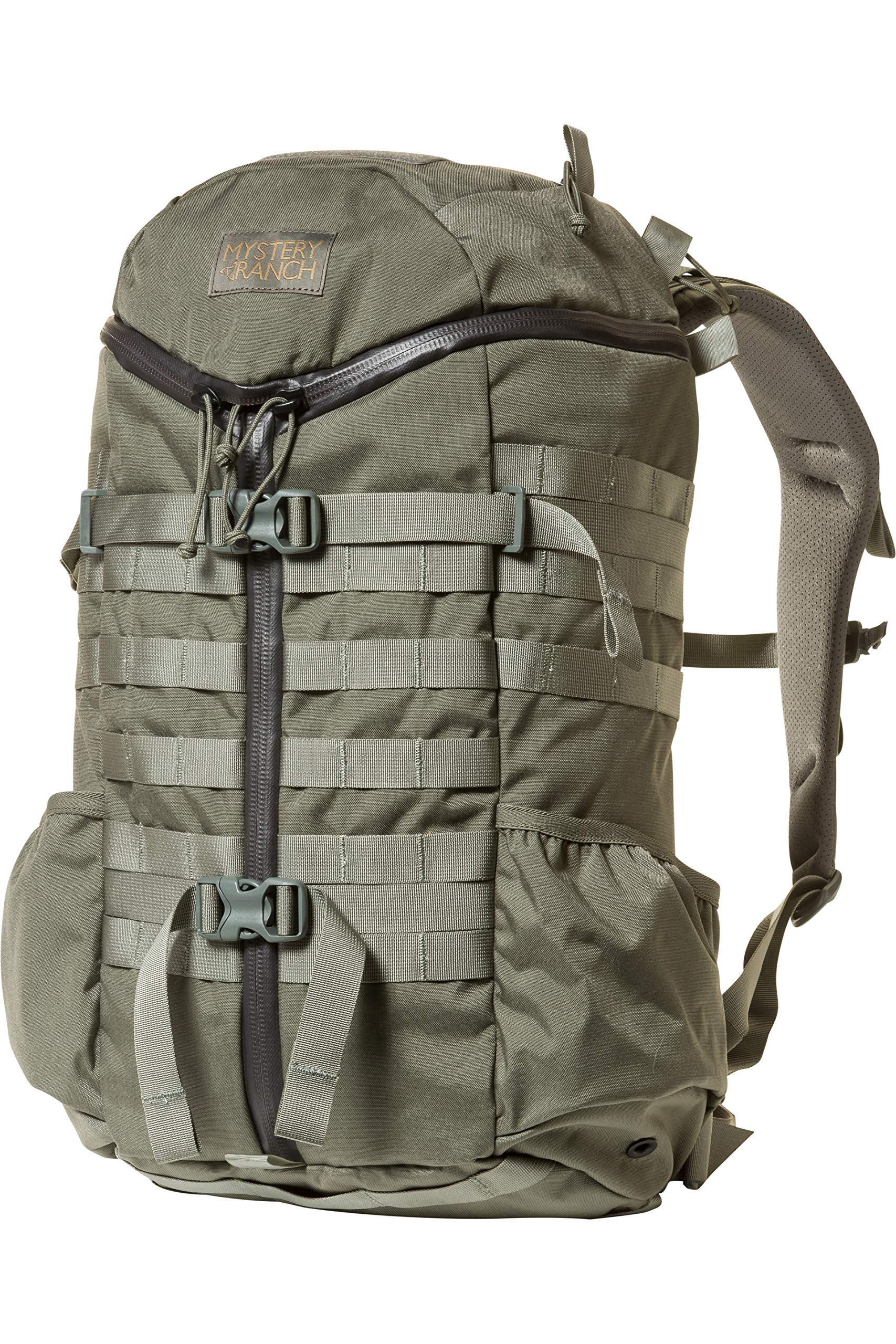 Mystery Ranch 2 Day Assault Backpack - Tactical Molle Hiking Daypack for Outdoor Adventures, Military Style L/XL (Foliage Green) - Perfect for Camping, Hiking & Travel