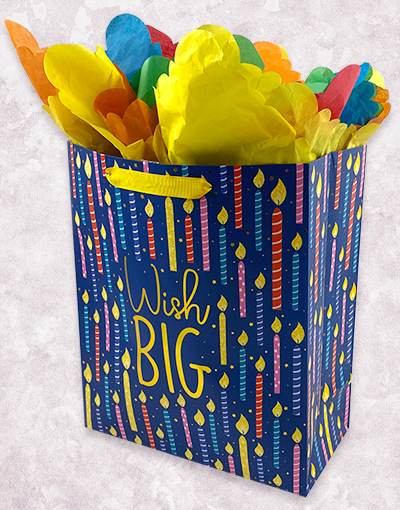 Biggest Wishes Garden Gift Bags - Perfect for Birthday Parties, Baby Showers & Wedding Favors