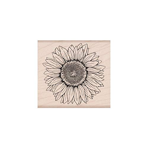 Hero Florals Sunflower