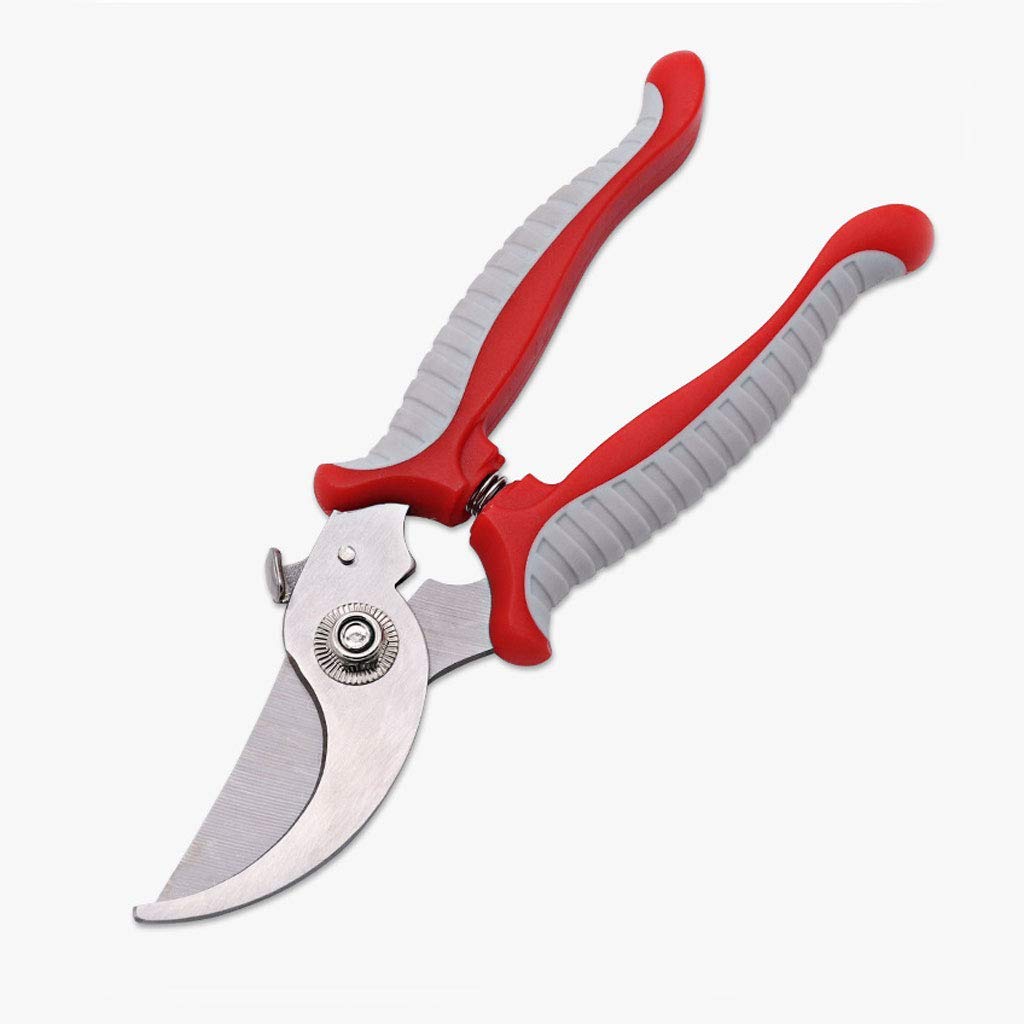 Professional Pruning Shears - Sharp Hand Pruners & Gardening Scissors for Fruits, Vegetables, Plants | Durable Beak Design for Easy Trimming | Perfect for Home Gardeners, Landscaping & Outdoor Use
