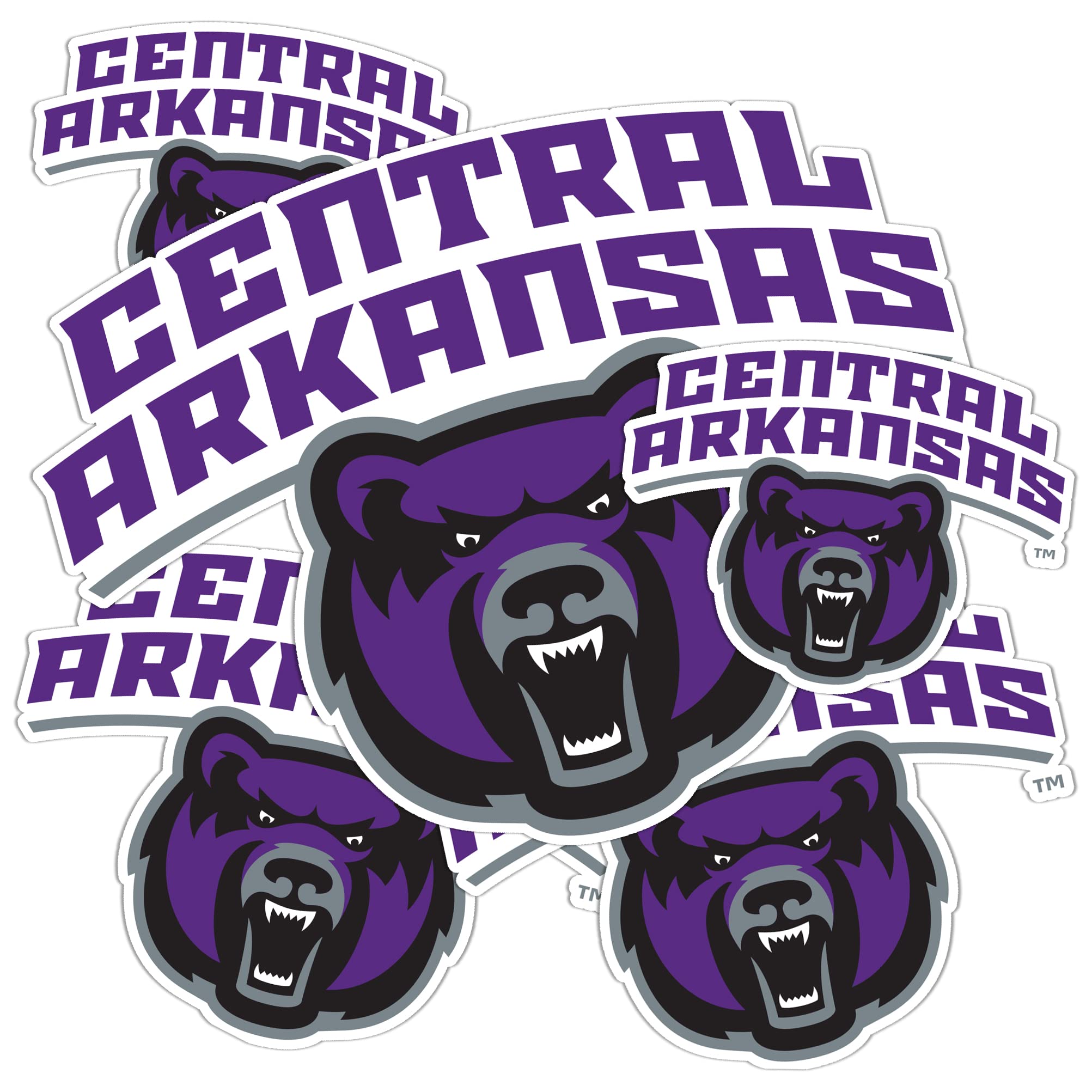 UCA Bears Vinyl Decals - Desert Cactus University of Central Arkansas Stickers for Laptop, Water Bottle, Car & Scrapbook - Durable T3 (Type 3-1) Decals for School Spirit & Fan Gifts