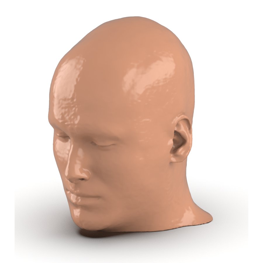 CTA AVM / Lesion Head and Neck Phantom for CT Scan & X-Ray Training - Medical Imaging Practice, Radiology Education, and Diagnostic Procedure Simulation