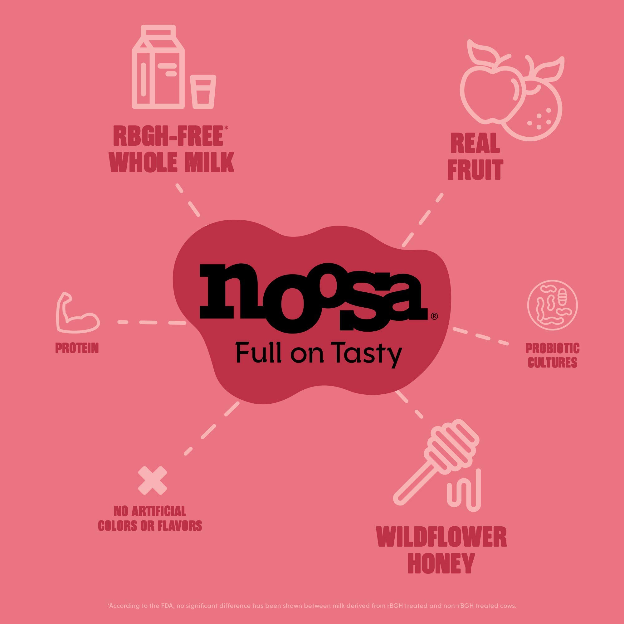 Noosa Yoghurt, Strawberry Rhubarb, 8oz - Probiotic Whole Milk Yogurt with Real Strawberries & Rhubarb, No Artificial Ingredients, Gluten Free - Perfect for Breakfast, Snacks & Healthy Desserts