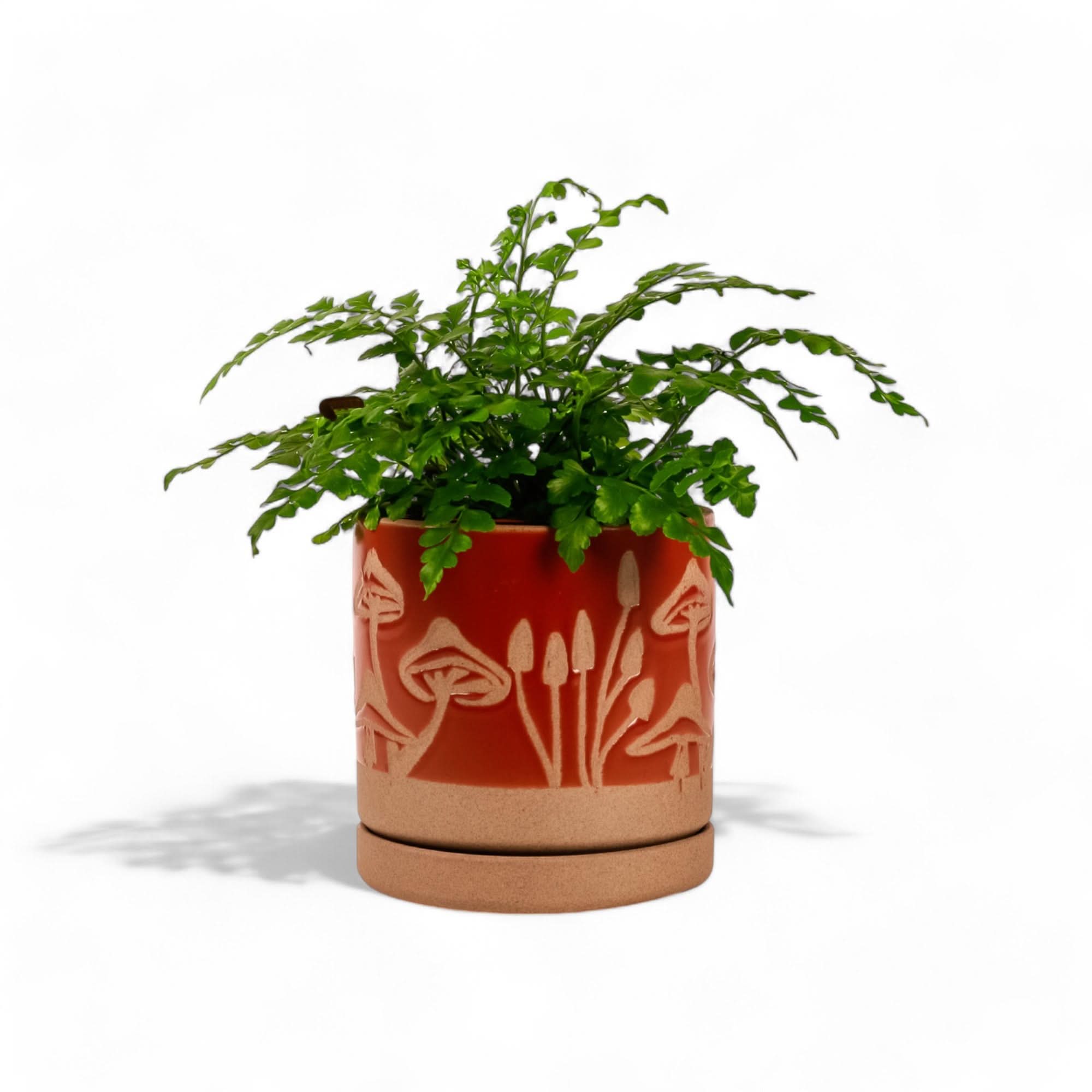 Scavenger Pot and Saucer Set - Ceramic Flower Planters with Drainage Holes for Indoor/Outdoor Plants, Succulents & Herbs - Perfect for Home Decor, Garden & Office Desk