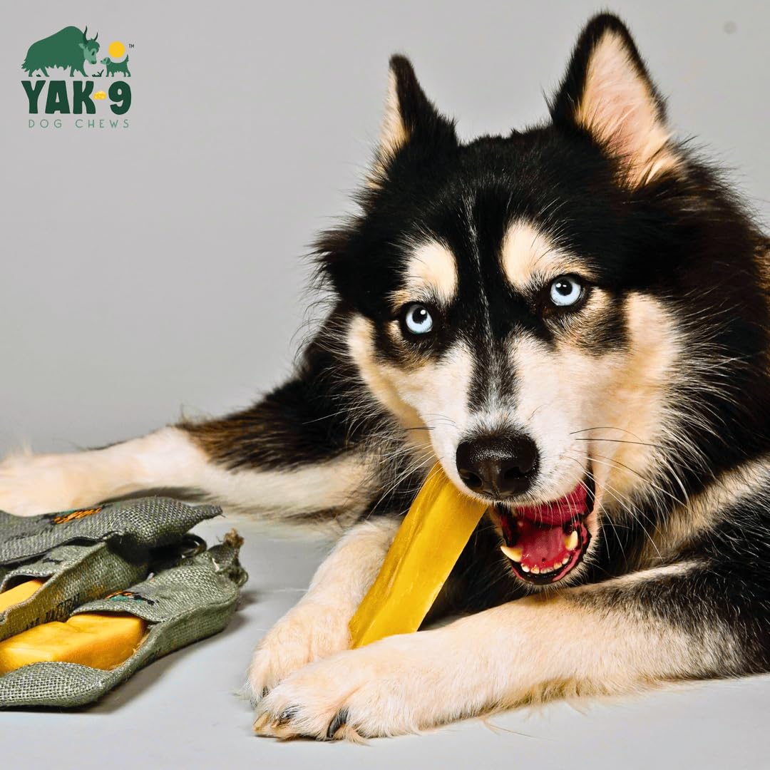 Natural Yak & Cow Milk Cheese Dog Chews - High Protein, Long Lasting Dog Treats with Vitamins & Minerals, Rawhide Free, Medium Size (1 PC) - Perfect for Training Rewards & Dental Health