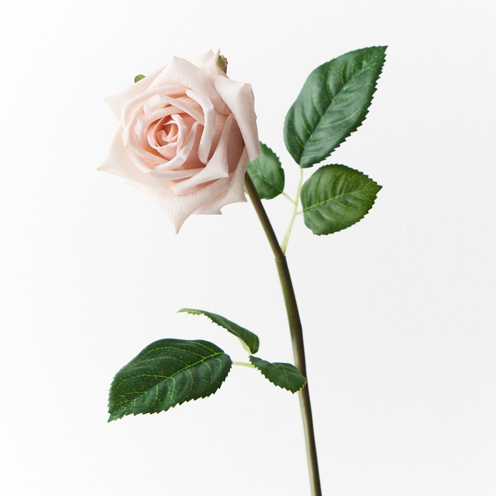 Lola Rose Watch for Women - Soft Pink Dial, Genuine Leather Strap, Elegant & Stylish Watch - Perfect for Everyday Wear, Office, and Special Occasions