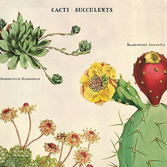 Cacti & Succulents Canvas Tote Bag - Eco-Friendly Reusable Shopping Bag for Women - Perfect for Groceries, Beach, Farmers Market & Daily Use