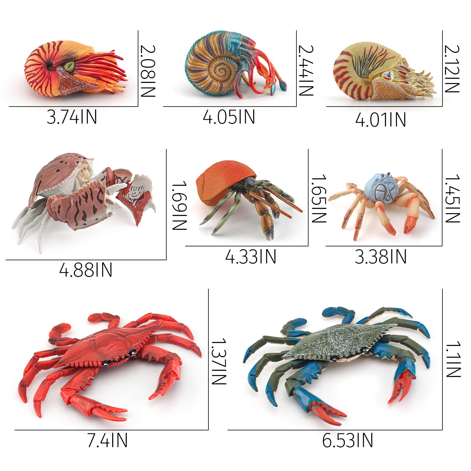 8PCS Jumbo Sea Creatures Toys Set - Educational Shark, Crab, Nautilus Figurines for Kids | Science Learning & Ocean Exploration | Perfect Birthday Gift for Boys & Girls | Bath Time, Classroom & Playroom Fun