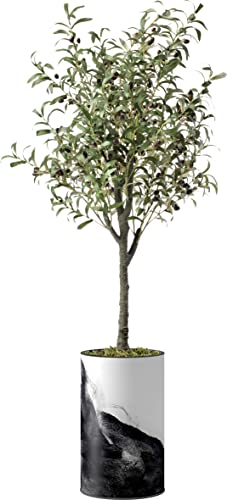 Contemporary Planter - 02