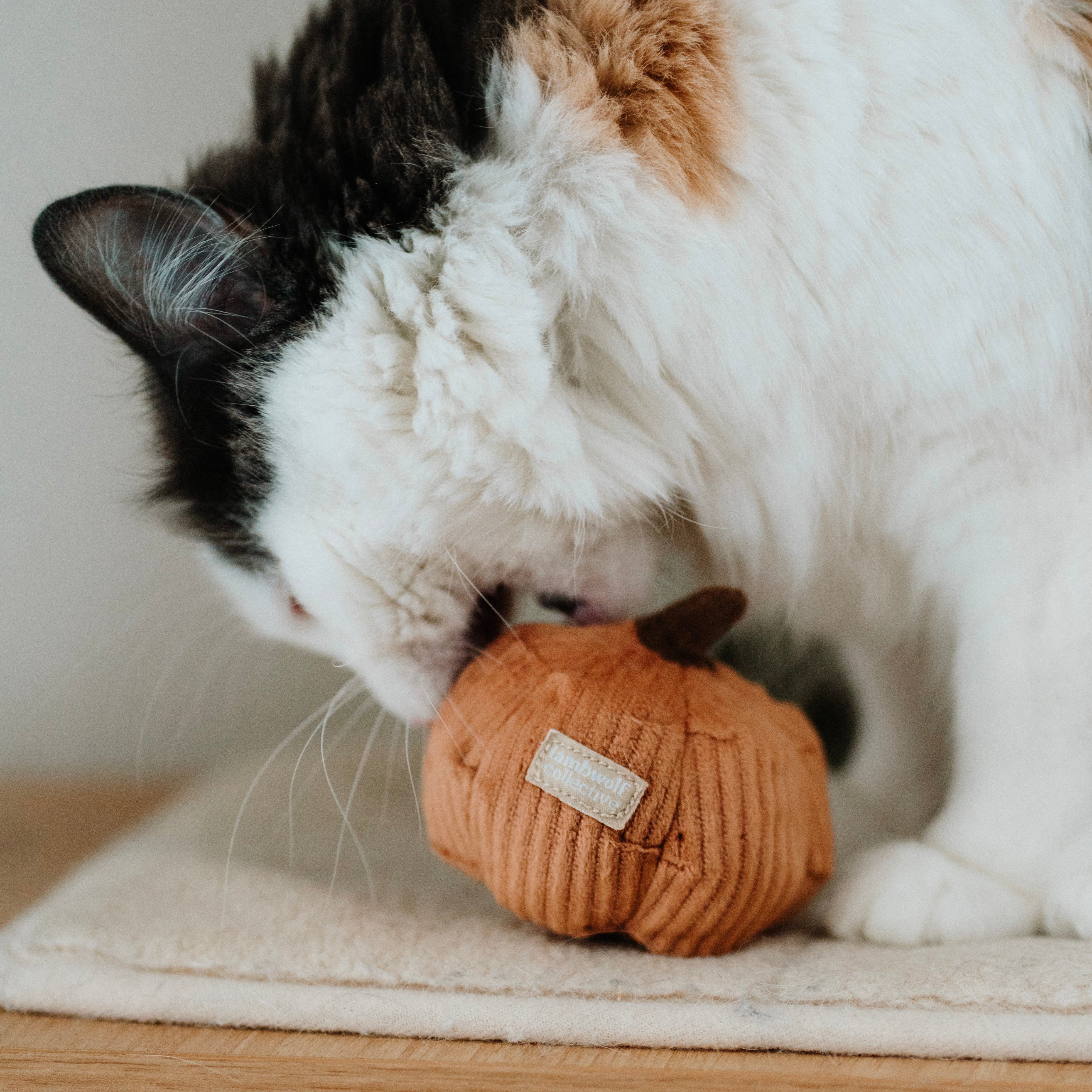 Organic Kitty Veggie Set - Healthy Cat Vegetable Treats for Indoor & Outdoor Cats - Perfect for Training, Rewards & Snack Time