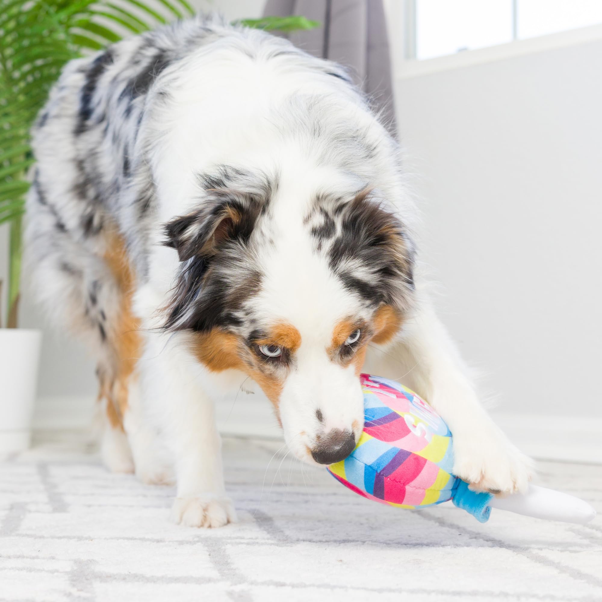 Huxley & Kent Squeaky Plush Dog Toy - Large Sweet Lollipop Design | Easter Spring Funny Pet Gift with Squeaker | Durable & Safe Chew Toy for Dogs | Perfect for Playtime, Training Rewards, and Holiday Gifting