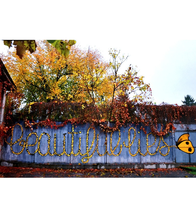 Concrete Canvas: Transforming Urban Landscapes with Street Art – Perfect for City Dwellers & Art Enthusiasts