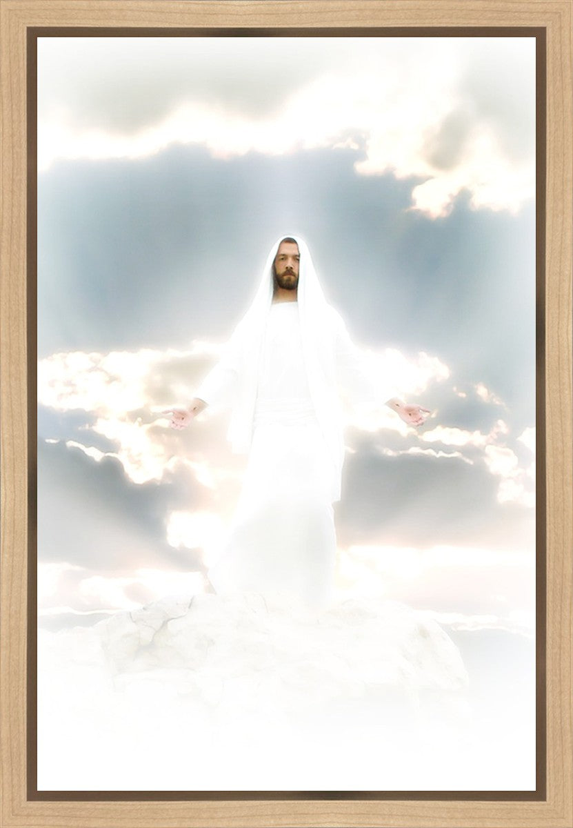 Behold Gallery Wrap Canvas - Premium Stretched Framed Art Prints for Home & Office Decor - Perfect for Living Room, Bedroom, and Office Wall Decor