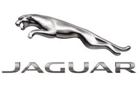 Jaguar C2C22265 - Premium Quality New Replacement Part for Jaguar Vehicles | Perfect for Engine Repair & Maintenance