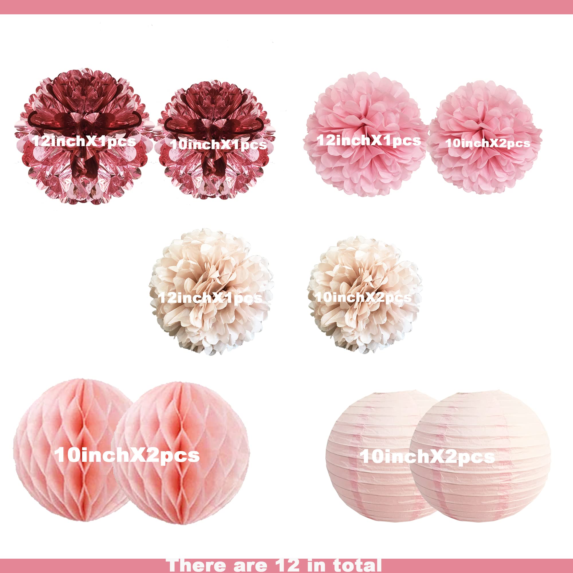 Blush Chrome Hanging Decorations - Tissue Paper Flower Pom Poms & Lanterns for Birthday Wedding Baby Shower Bachelorette Party Decor (Chrome Pink + Pastel Pink) | Perfect for Home, Nursery, Bridal Shower & Festival Decorations