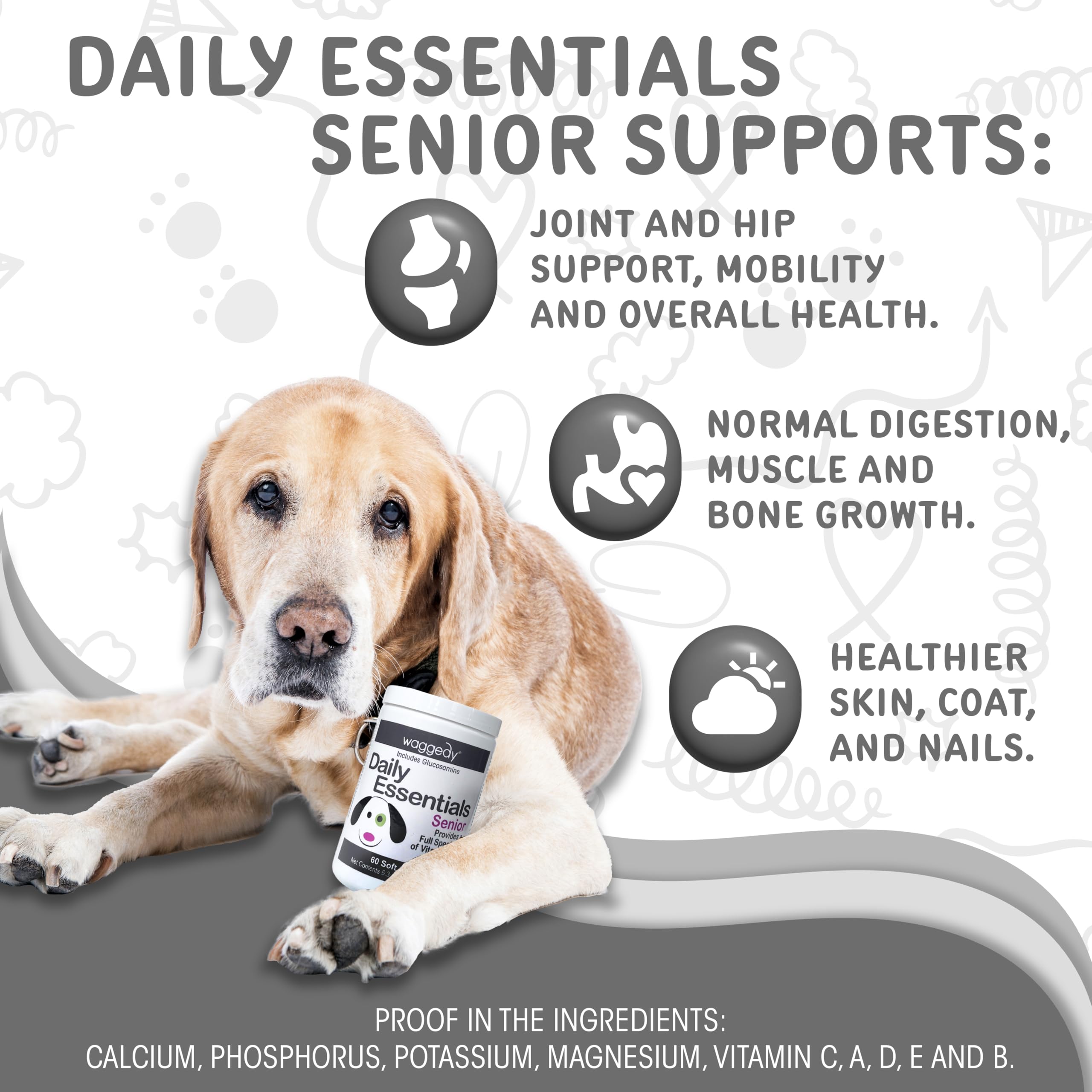 Waggedy Daily Essentials Senior Soft Chews with Glucosamine for Dogs - Digestive Support & Joint Health Supplement - Multivitamin Treats for Overall Wellness - Senior Dog Vitamins (60 Chews) - Perfect for Aging Dogs with Mobility or Digestion Issues