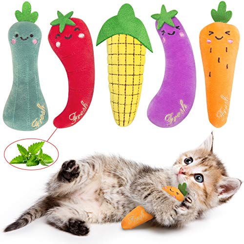 Multi-color 5 Pack