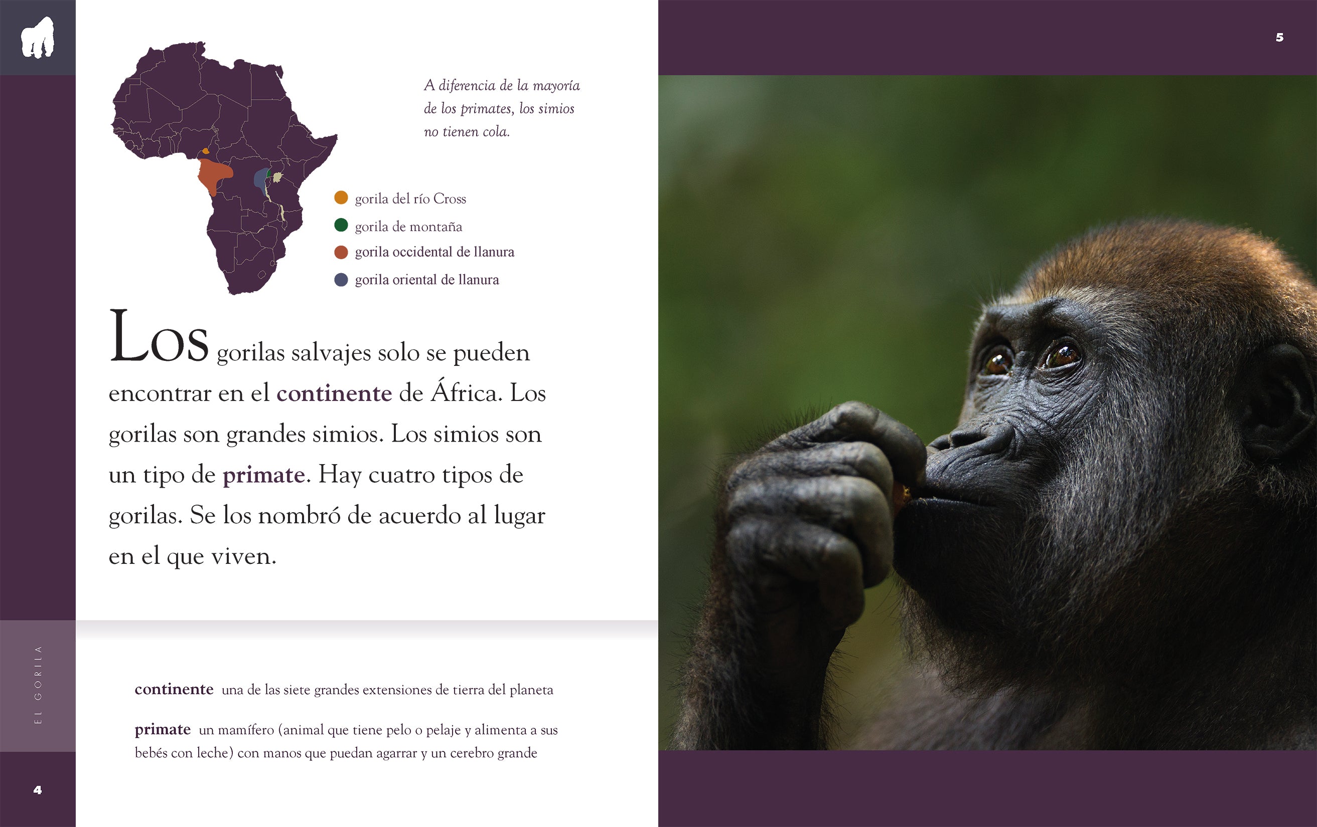 El Gorila 9781640264663 - Wild Animal Book for Kids, Spanish Learning & Jungle Adventure Stories - Perfect for Classroom Reading, Homeschooling & Bedtime Stories