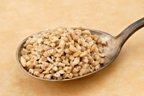 Organic Steel Cut Oats - 5 Pound Bulk Bag | Non-GMO, Whole Grain Breakfast Cereal | Perfect for Oatmeal, Baking & Healthy Meal Prep