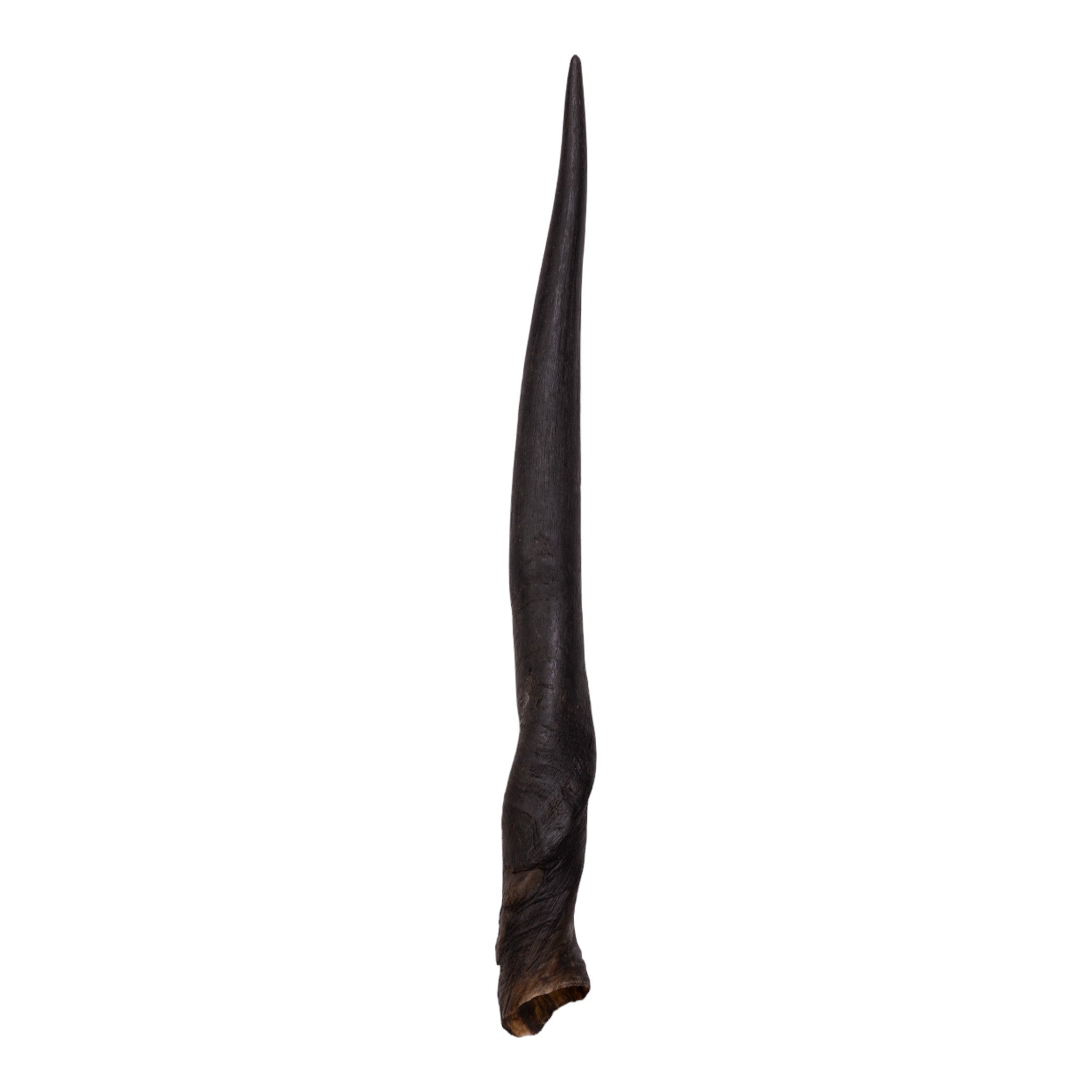 Authentic Eland Horn for Women - Handcrafted Jewelry & Home Decor, Perfect for Boho Chic Style, Spiritual Healing, and Unique Gifts