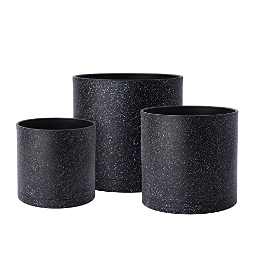 Speckled Black