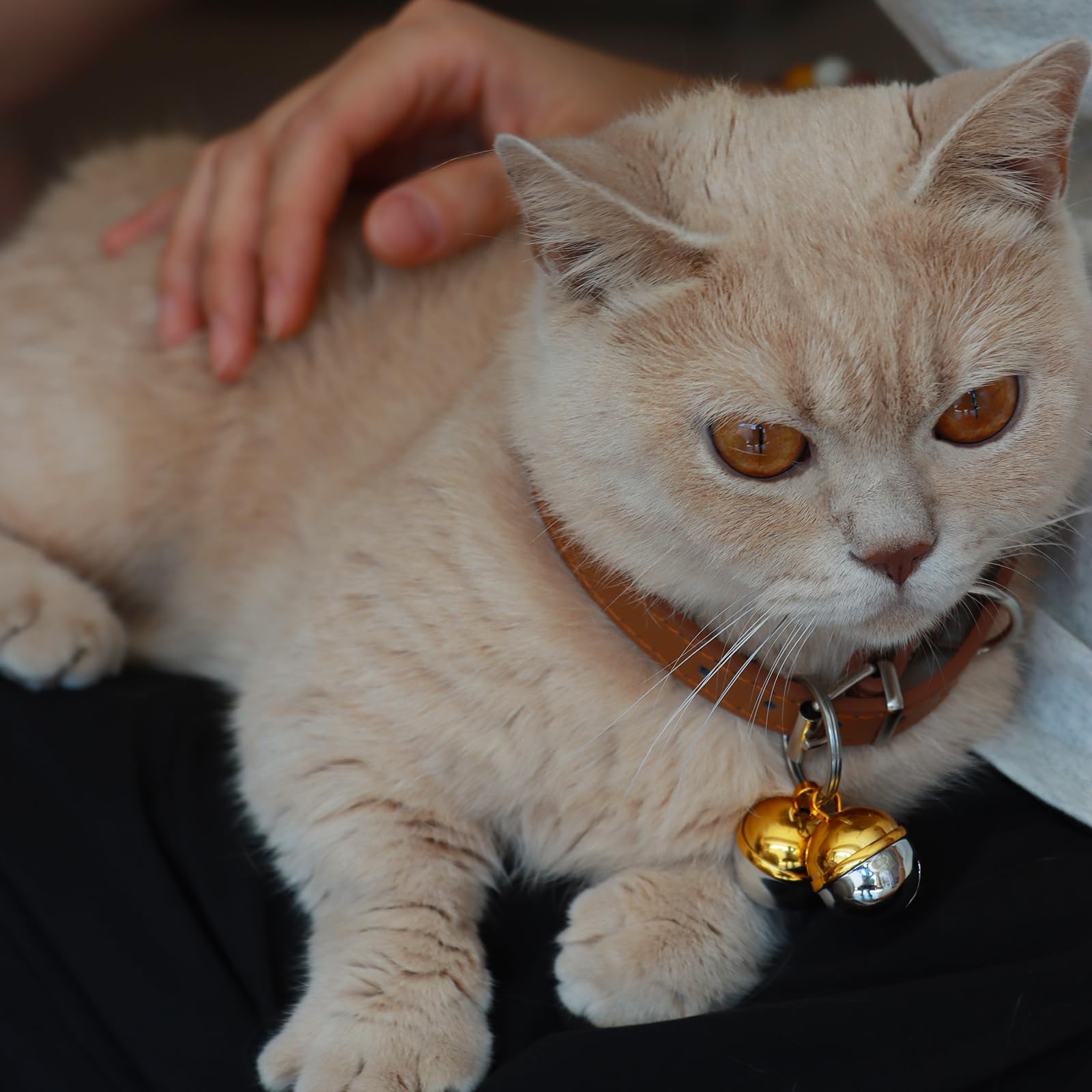Copper Cat & Dog Collar Bells - Pet Tracker Training for Small Medium Large Dogs - Outdoor Adventure Safety