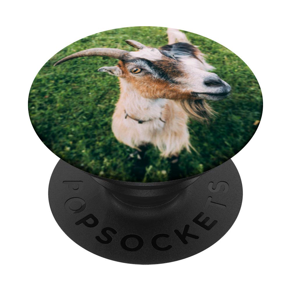 Goat Horns PopSockets - Expandable Phone Grip & Stand for iPhone, Samsung, Tablets | Anti-Slip Mobile Accessory for Gaming, Selfies & Everyday Use