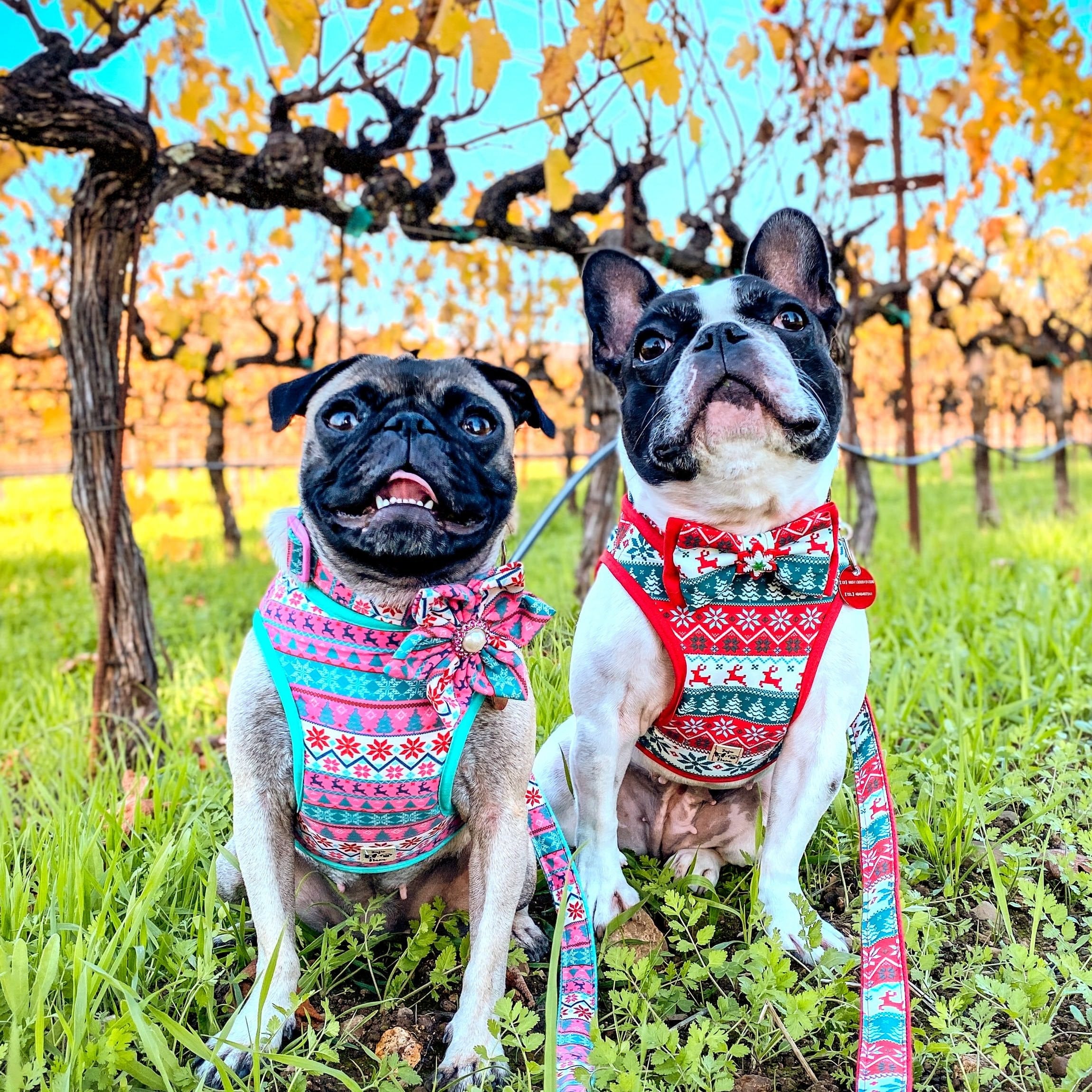 Pink Christmas Dog Collar with Flower - Festive Pet Accessory for Holiday Photos & Ugly Sweater Parties
