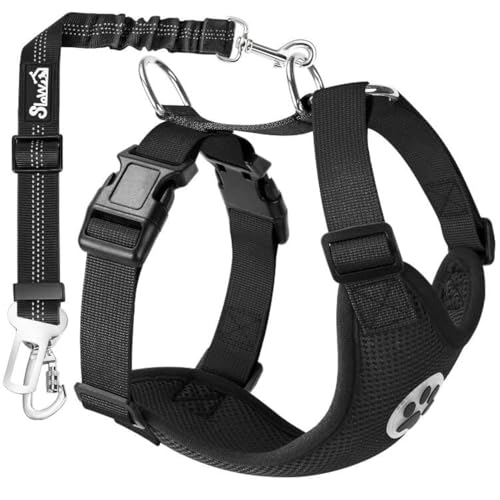 B6- Black (Double Clip 2 in 1)
