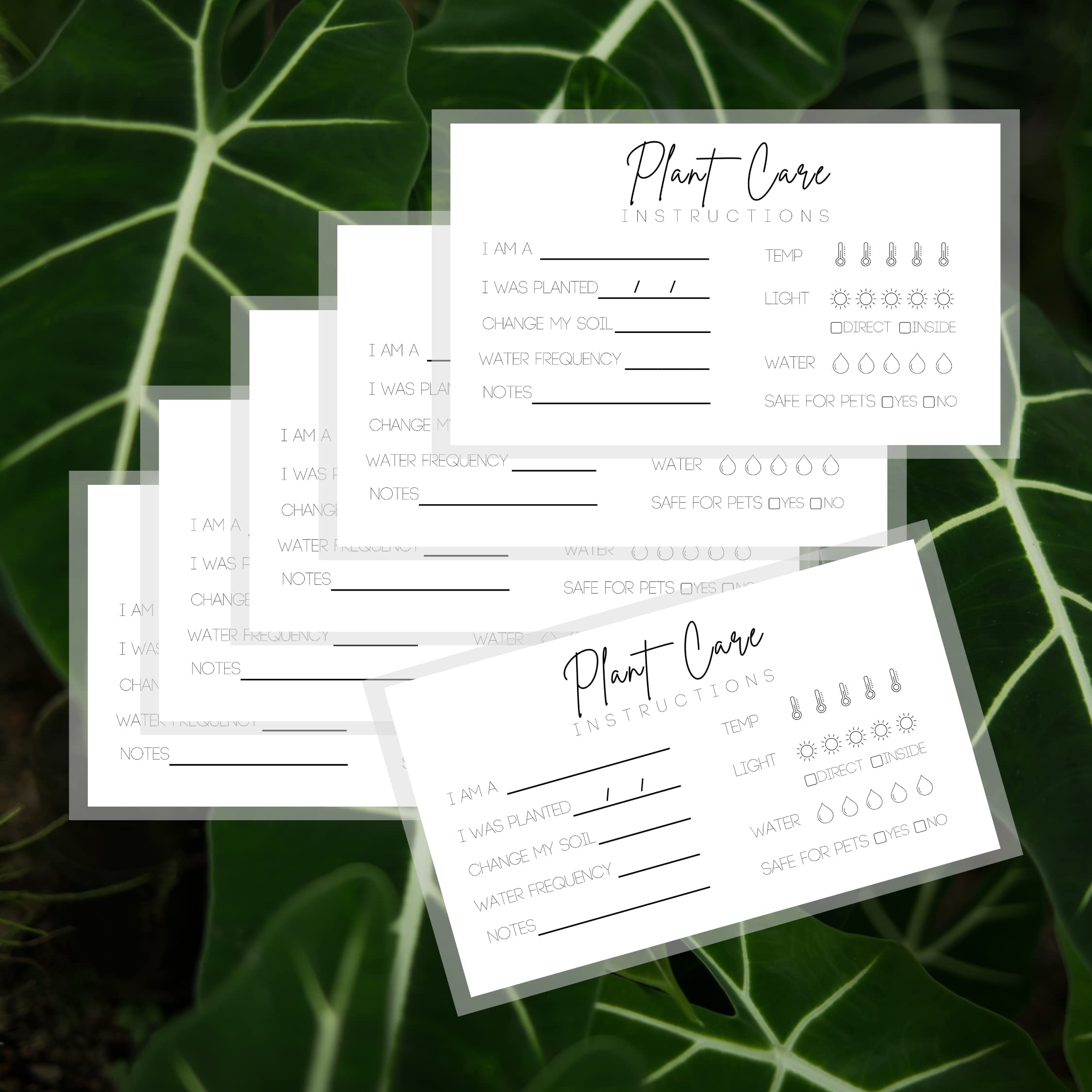 Plant Care Cards - 2