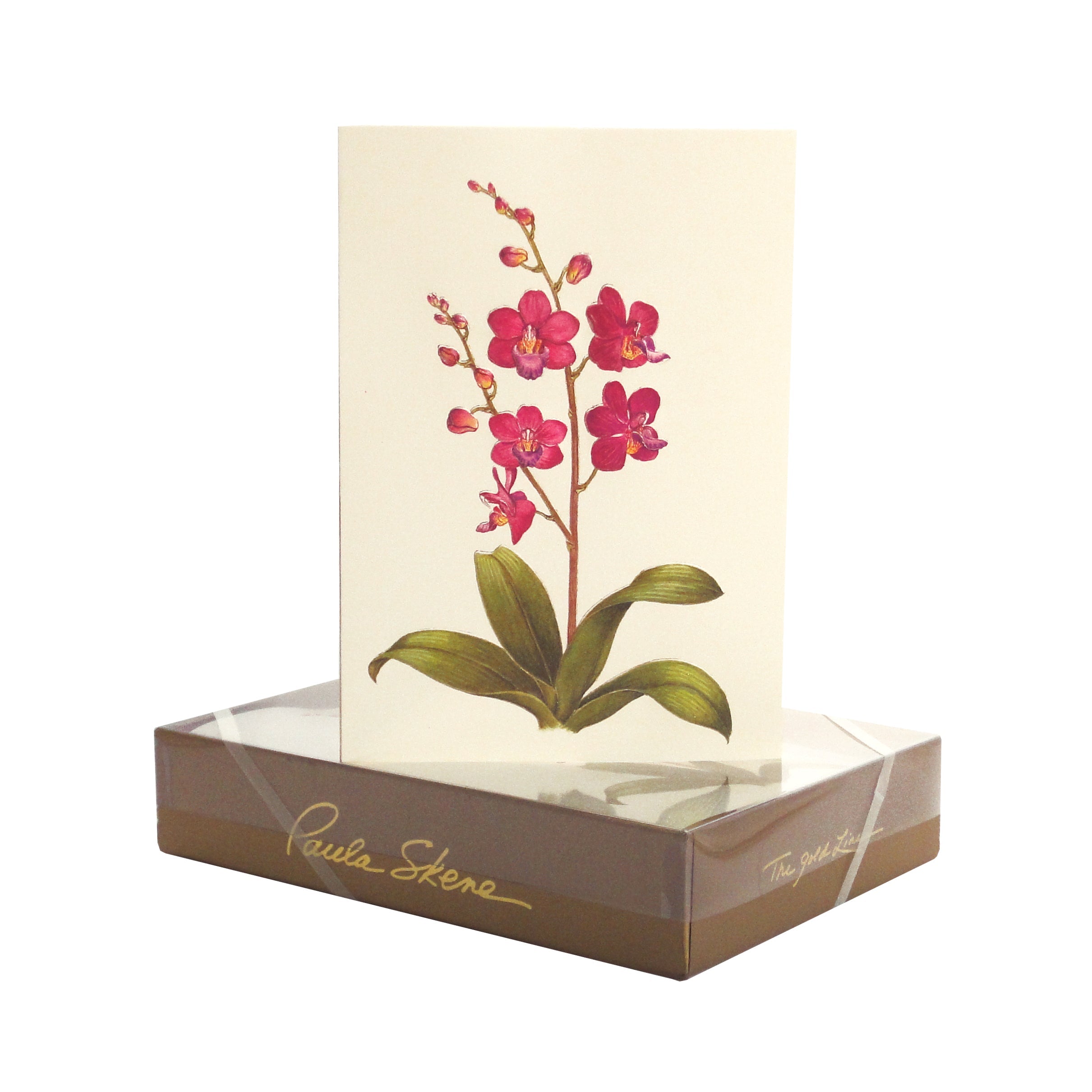 Elegant Orchid Note Cards - Set of 8 Handcrafted Floral Stationery for Thank You Notes, Wedding Invitations & Special Occasions