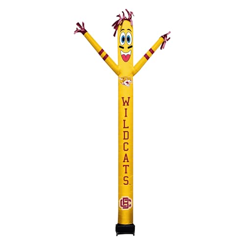 Bethune Cookman Wildcats