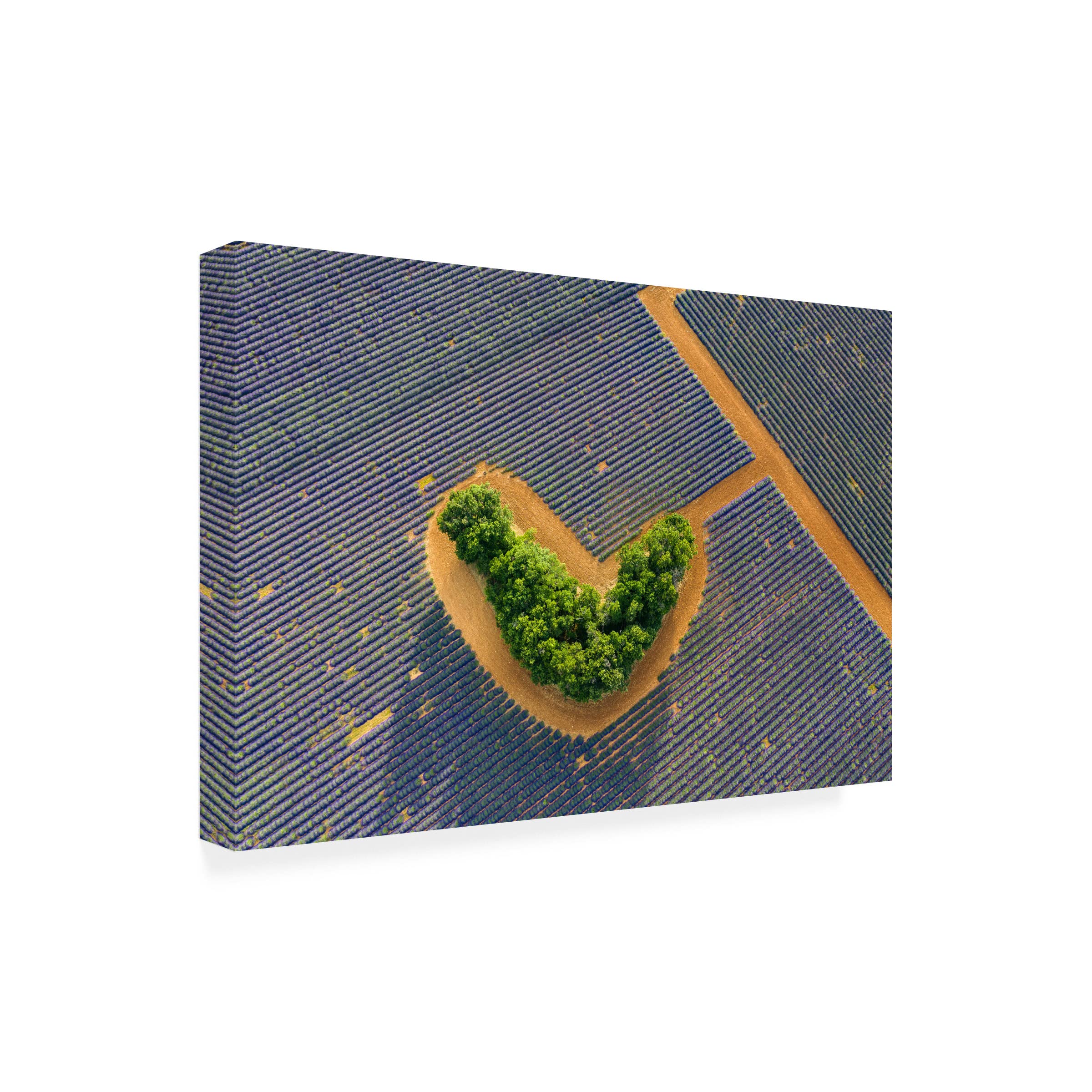 Trademark Fine Art 'The Heart' Canvas Wall Art by Marc Pelissier - Modern Abstract Painting for Living Room, Bedroom & Office Decor