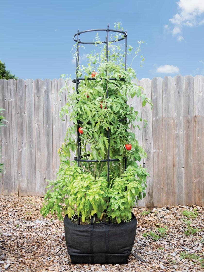 Titan Self-Watering Tomato Planter with Trellis - All-in-One Tomato Growing Kit | Includes Grow Bag, Trellis & Watering Inserts | Perfect for Patio, Balcony & Home Gardening | Large Capacity for Healthy Tomato Plants