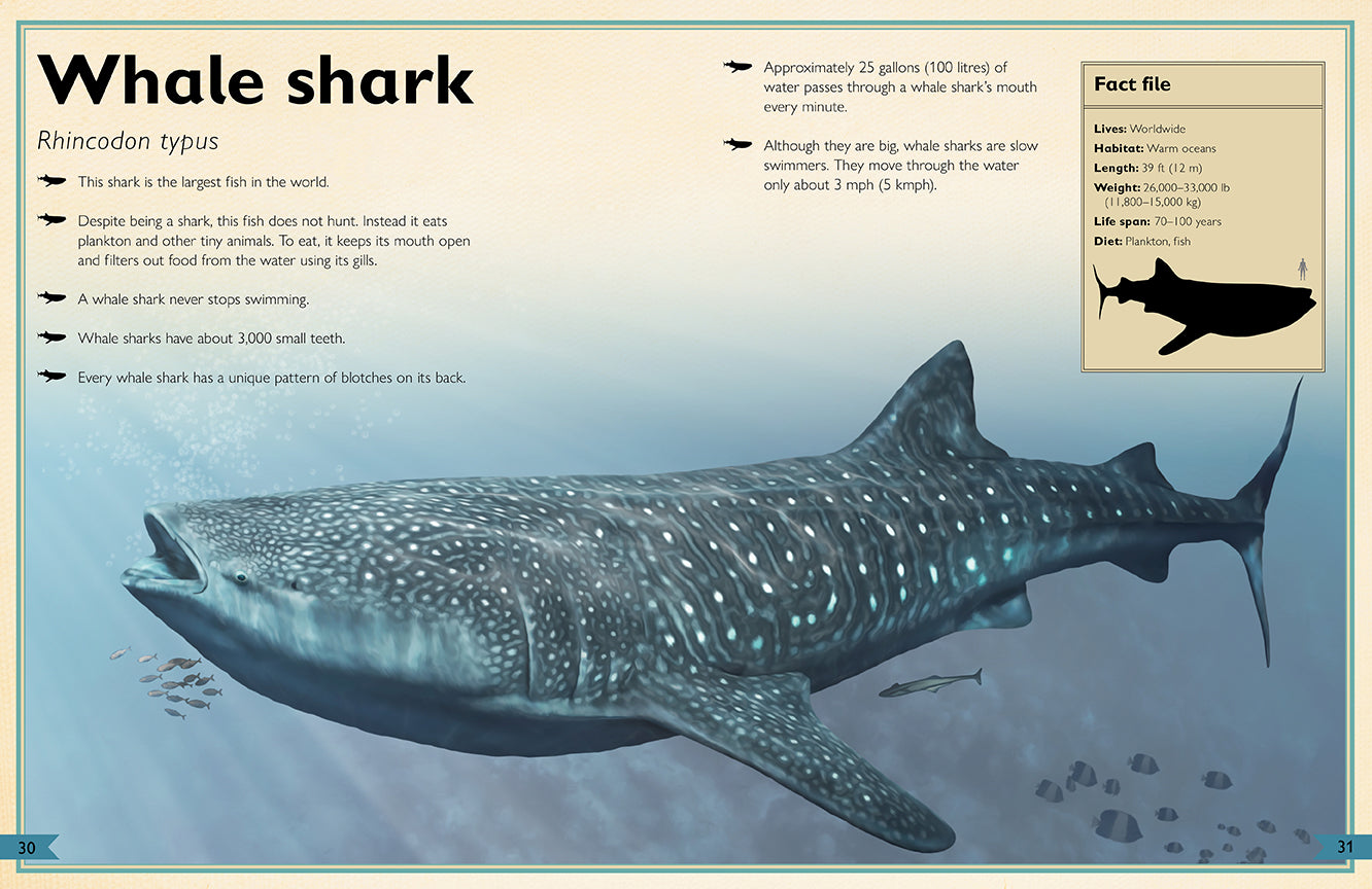The Magnificent Book of Ocean Creatures - Marine Life Encyclopedia for Kids & Adults | Perfect for Homeschooling, Classroom Learning & Ocean Lovers