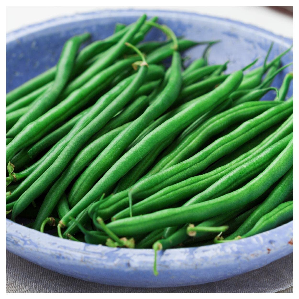 Organic Blue Lake Bush Green Bean Seeds - 1 Lb Non-GMO Heirloom Seeds - Gold Vault Packet for Home Gardening & Sustainable Farming