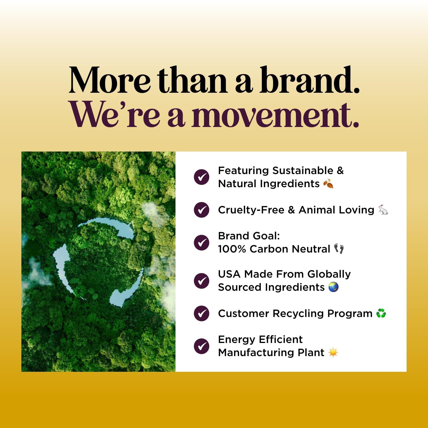 Lemon Sage Clarifying Shampoo for Oily Hair - Sulfate Free Deep Cleansing Shampoo with Keratin & Tea Tree Oil for Scalp Care - Rosemary Shampoo for Men & Women | Perfect for Daily Use & Removing Product Buildup