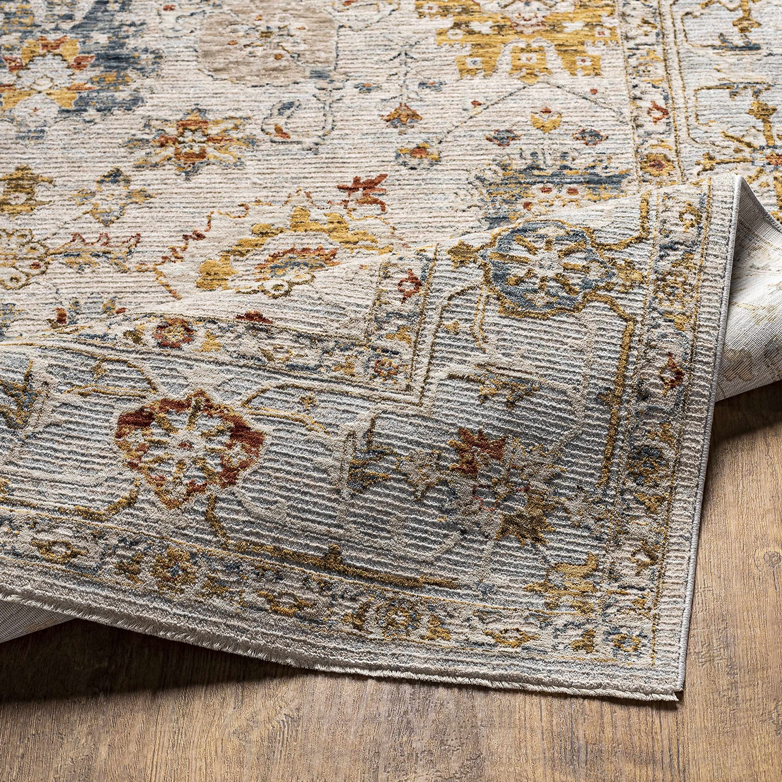 Hauteloom Mogul Soft Plush Area Rug for Living Room & Bedroom - 5'3