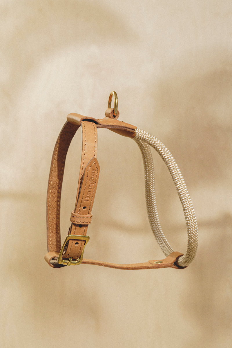 Premium Adjustable Dog Harness for Small & Medium Dogs - Pony Makarony Ginger Design with Lightweight Rope Leash | Perfect for Walking, Training & Outdoor Adventures