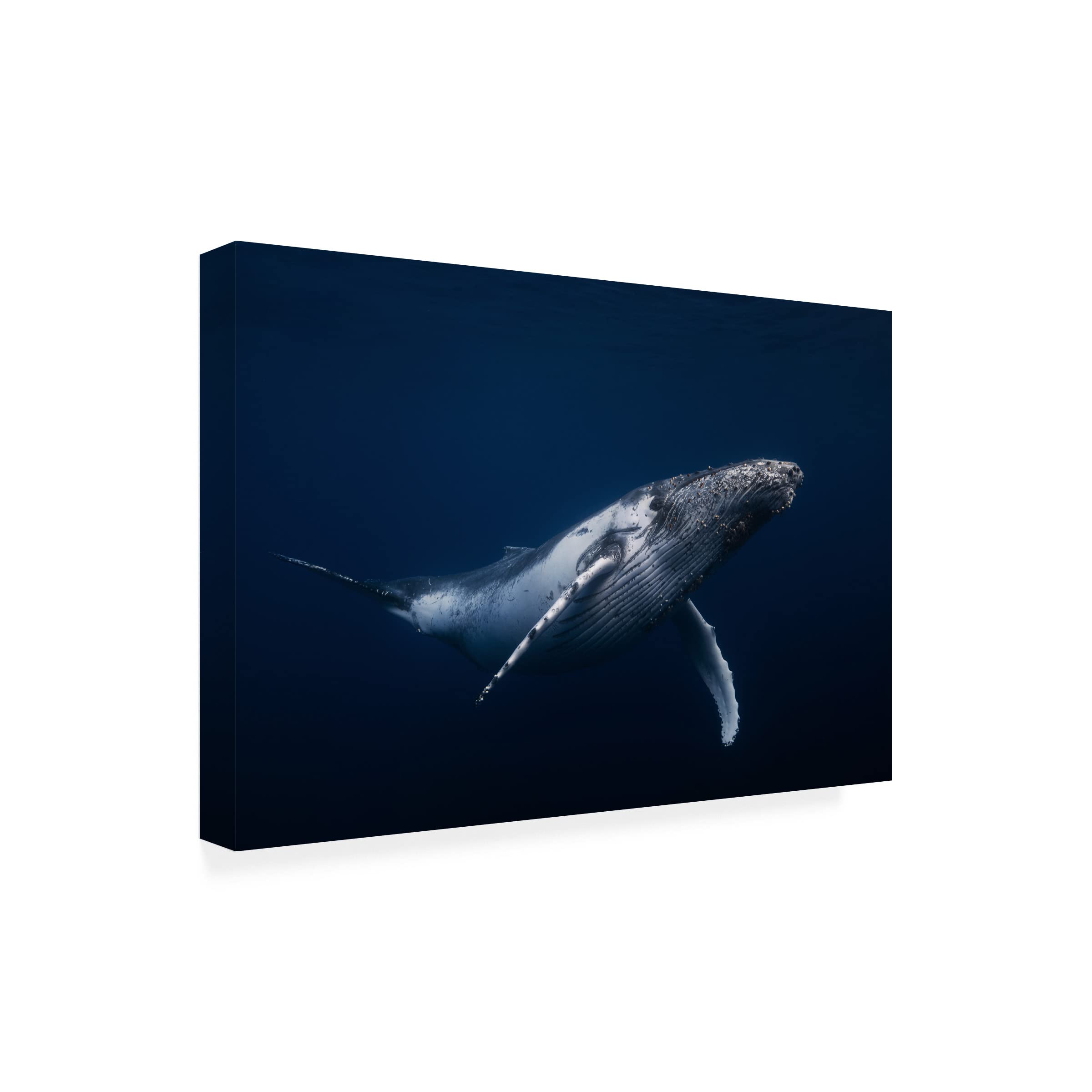 Barathieu Gabriel 'Humpback Whale In Blue' Canvas Wall Art Print - Ocean Themed Home Decor for Living Room, Bedroom & Office