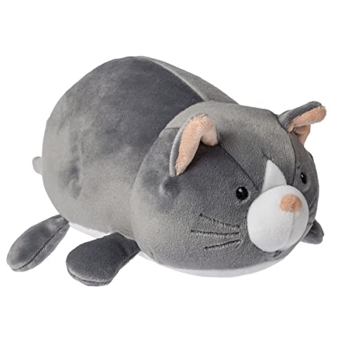 Kitty