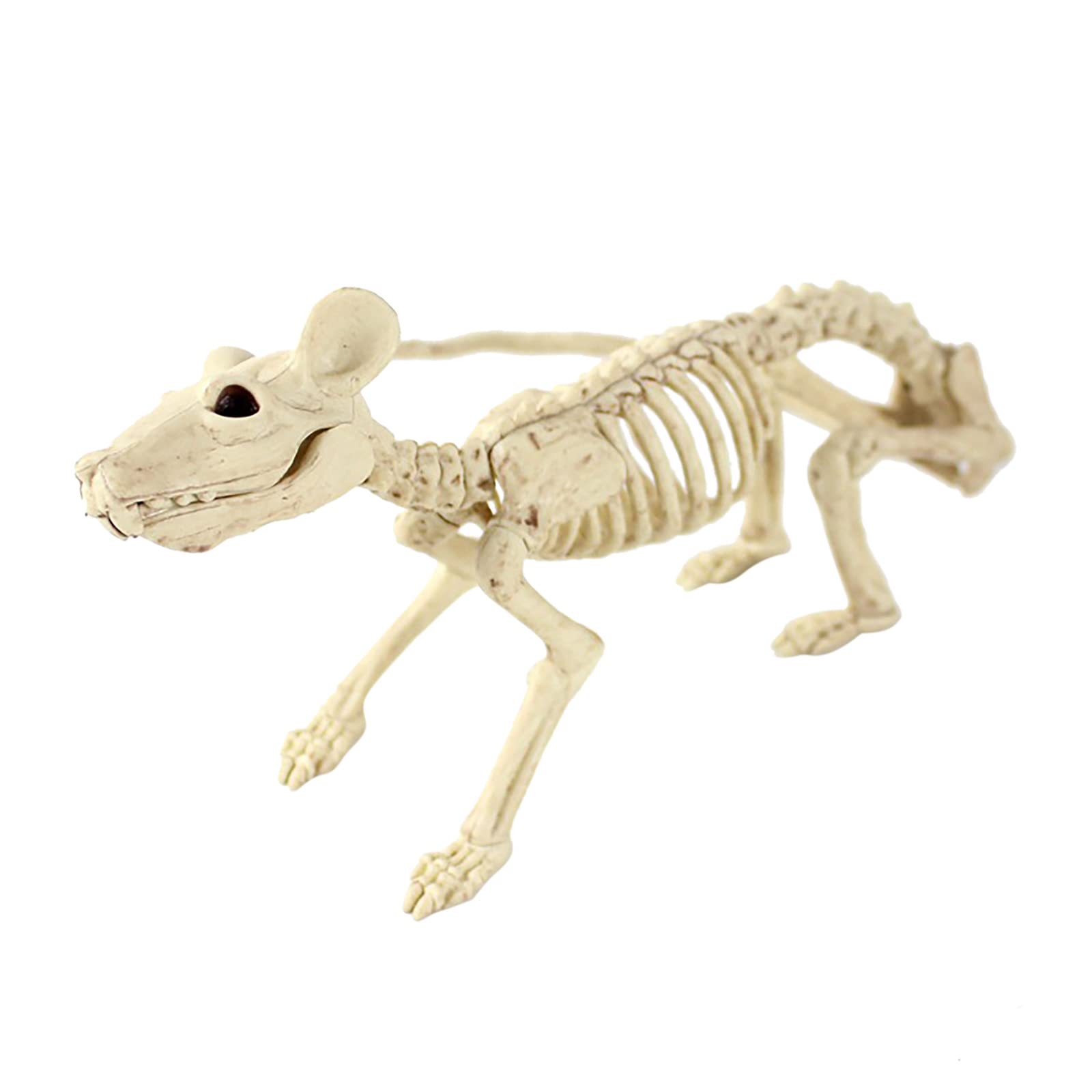 RSUNBT Halloween Skeleton Prop - Realistic Animal Bones for Horror Party Decorations & Haunted House Displays - Perfect for Spooky Decor, Halloween Parties, and Themed Events