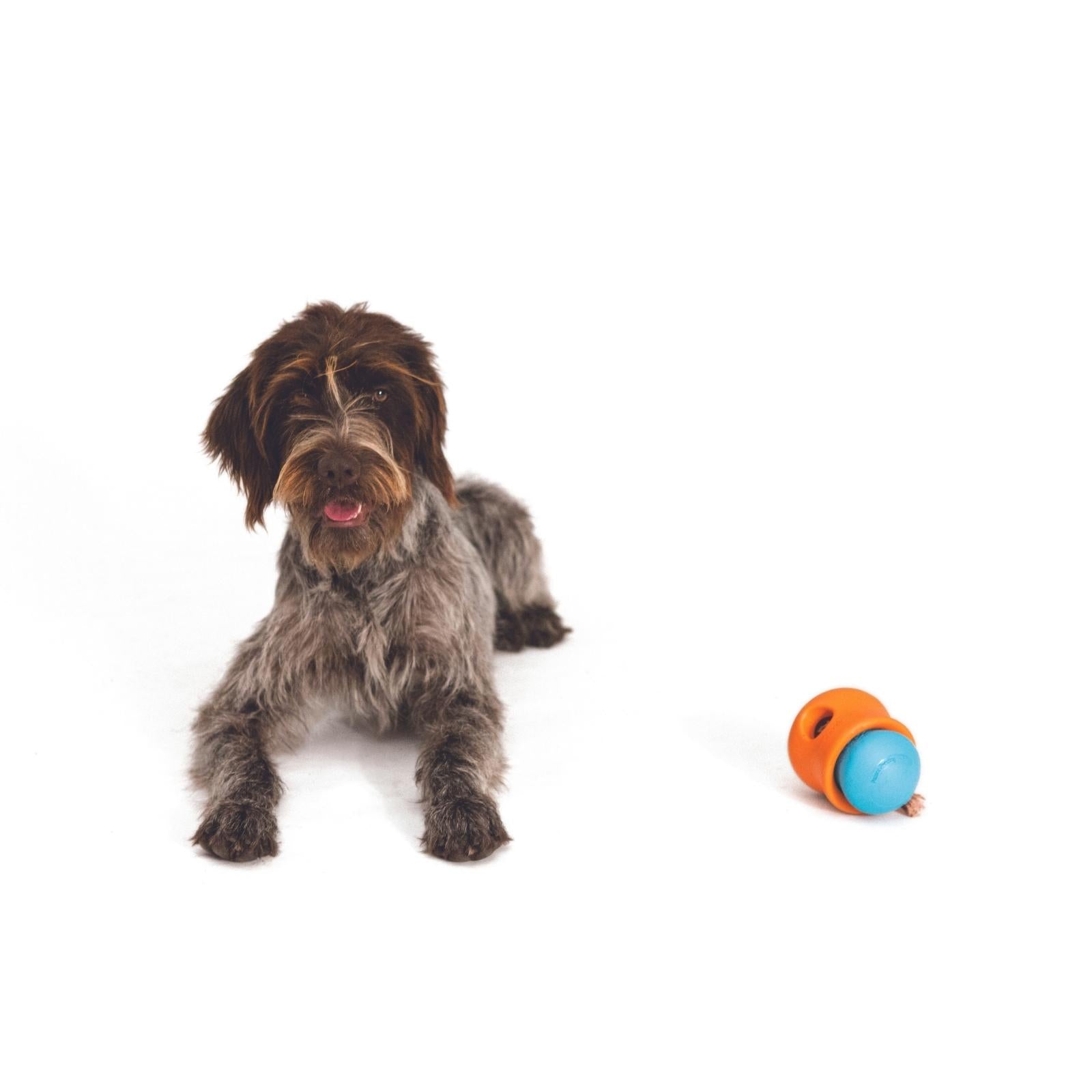 West Paw® TOPPL Dog Puzzle Toy - Green Interactive Treat Dispenser for Mental Stimulation & Training - Perfect for Boredom Relief & Indoor Playtime