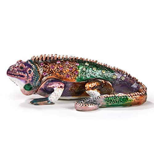 Multicolor Chameleon