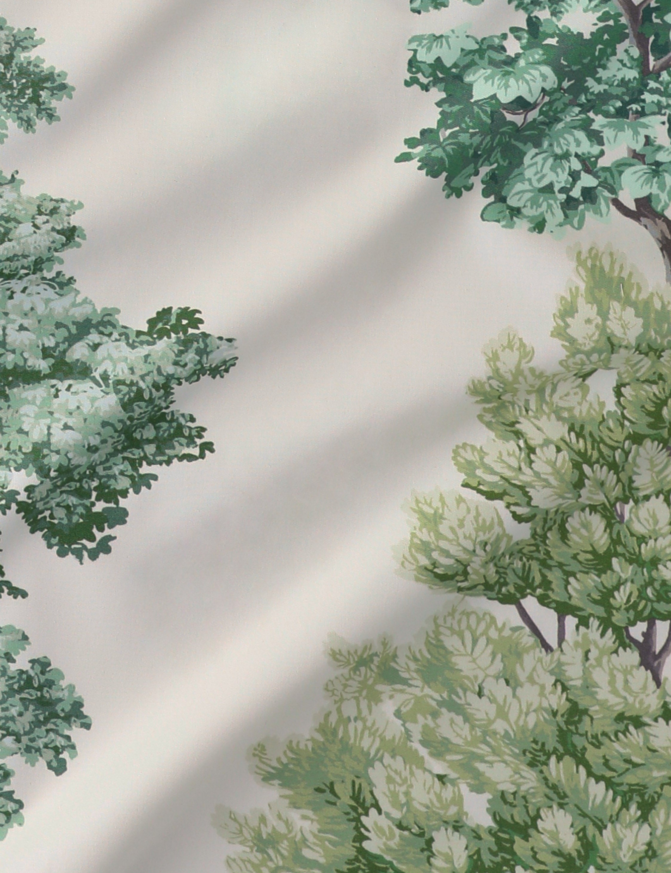 Scalamandré Central Park Cotton Fabric - Premium Upholstery & Home Decor Material for Sofas, Curtains & DIY Projects