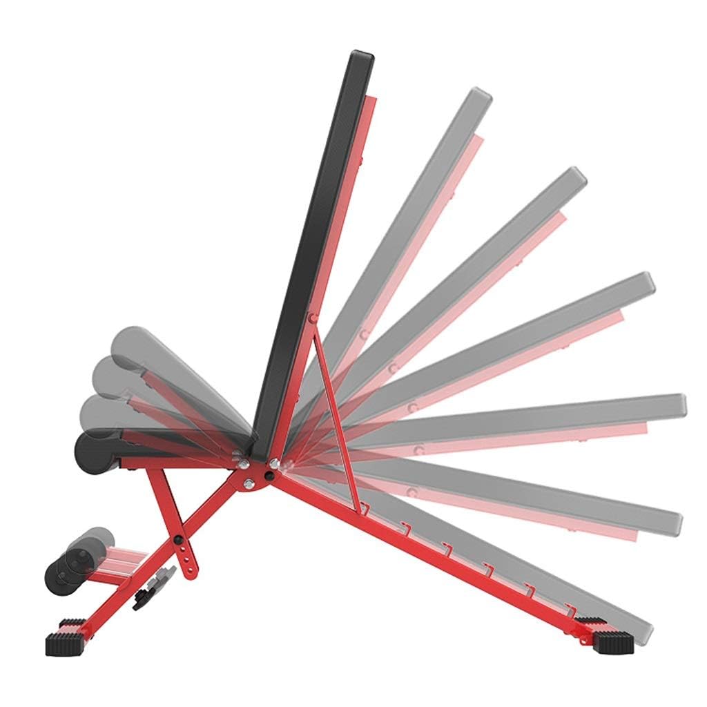DLT Foldable AB Bench Roman Chair - Adjustable Incline Weight Bench for Sit-Ups & Core Workouts, Black & Red Preacher Curl & Slant Board - Home Gym Equipment for Full-Body Training (Ideal for Small Spaces & Home Workouts)